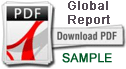 GlobalReportSample