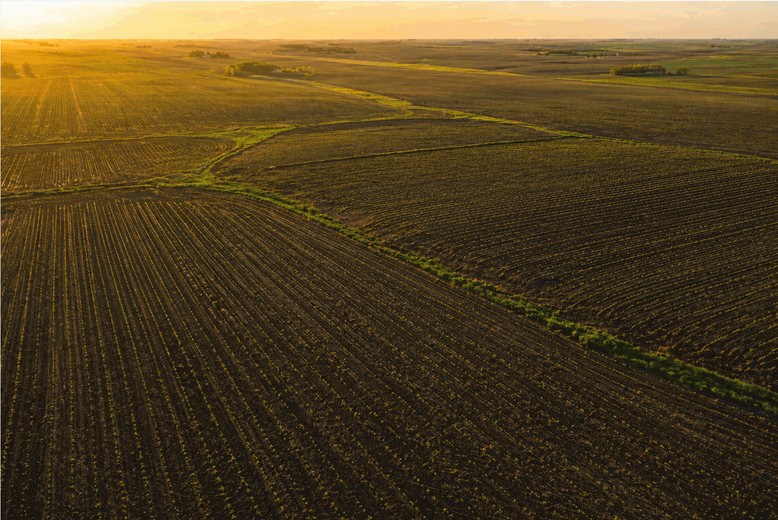 Drone aerial of Midwest corn farmland in spring at golden hour, freshly tilled rows in dark soil with first green shoots emerging — the April planting decision locked in for the 2026 harvest, regardless of any ceasefire